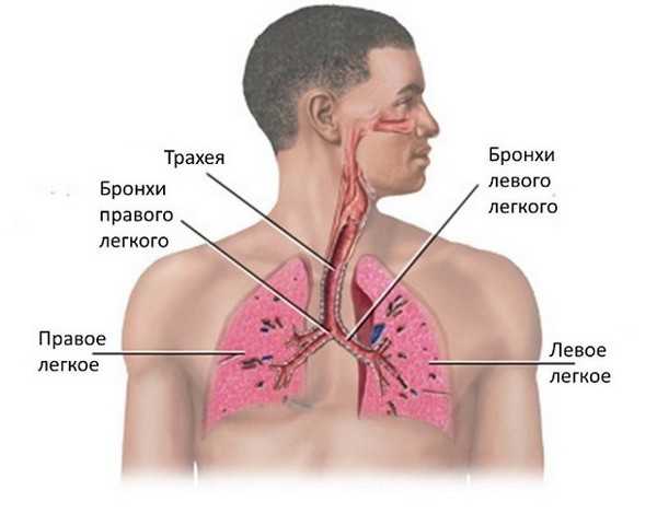 Когда стоит обратиться к врачу: опасные симптомы кашля