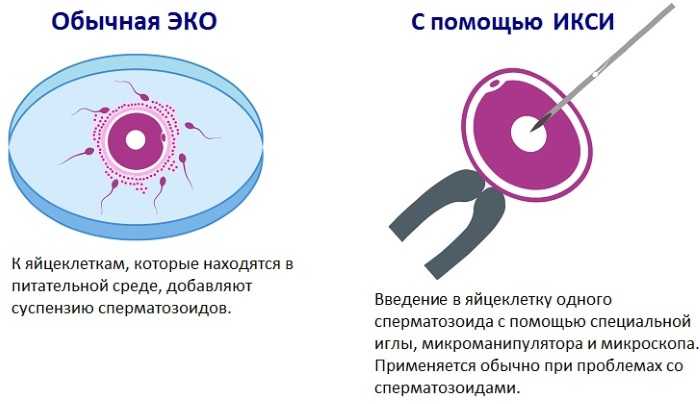 Комплексный подход к социальной ответственности бизнеса