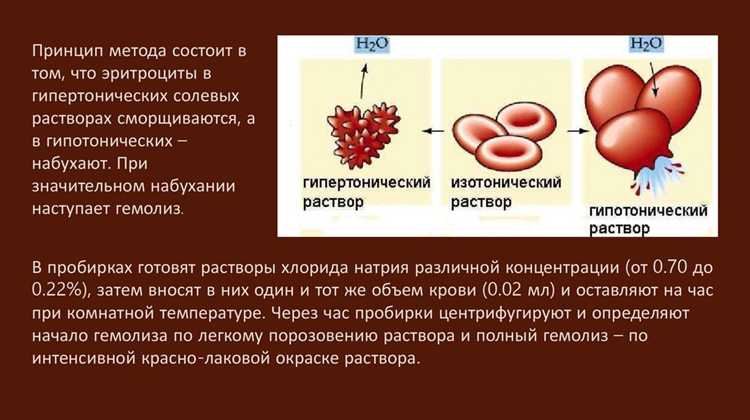 Перспективы новых технологий в исследовании мембран