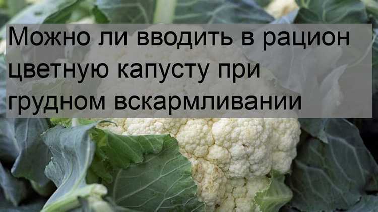 Щи при грудном вскармливании: можно или нельзя?