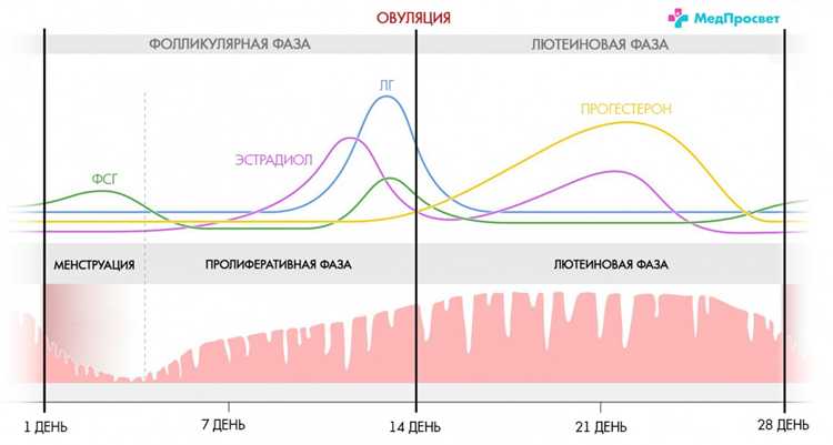 Юридические и социальные аспекты оценки семейного планирования
