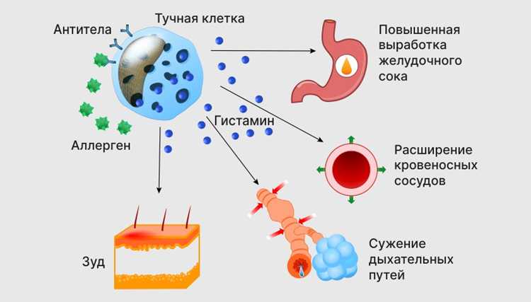Безопасные антибиотики для пациентов с аллергией