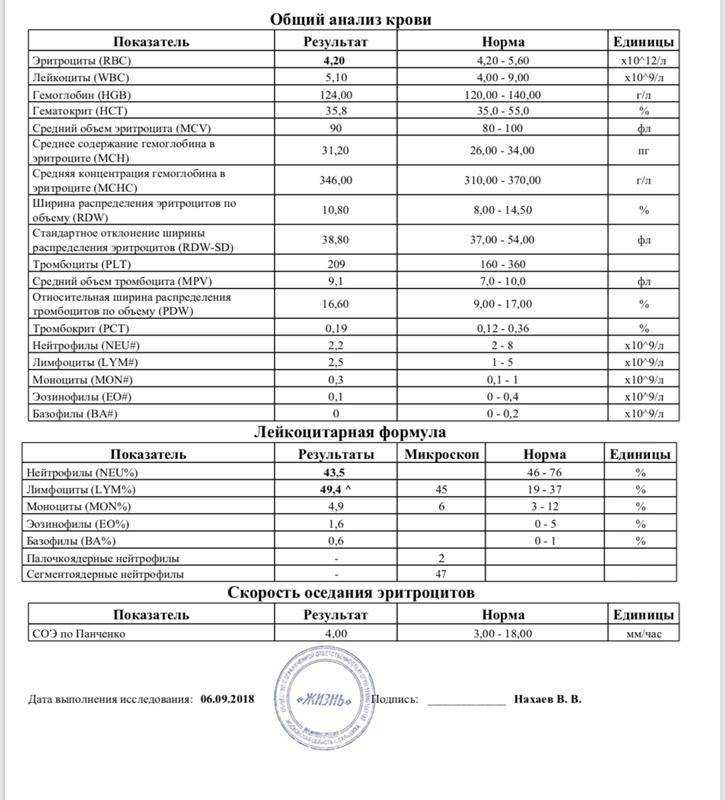 Уровень АСЕ (антител к вирусу Эпштейна-Барр): что нужно знать