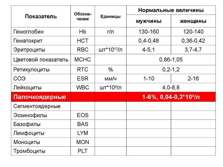 Что такое мононуклеоз и его связь с анализами крови