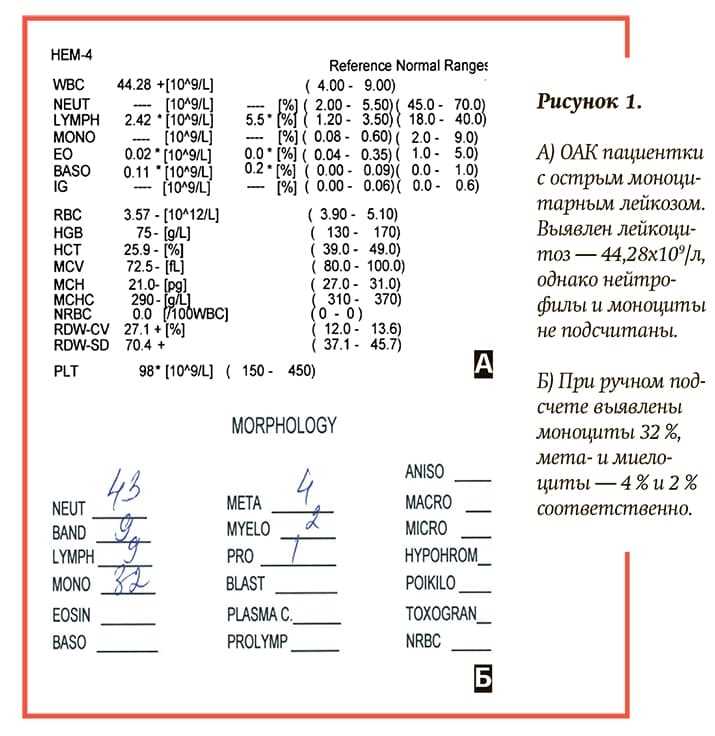 Когда и как часто необходимо сдавать анализы при мононуклеозе